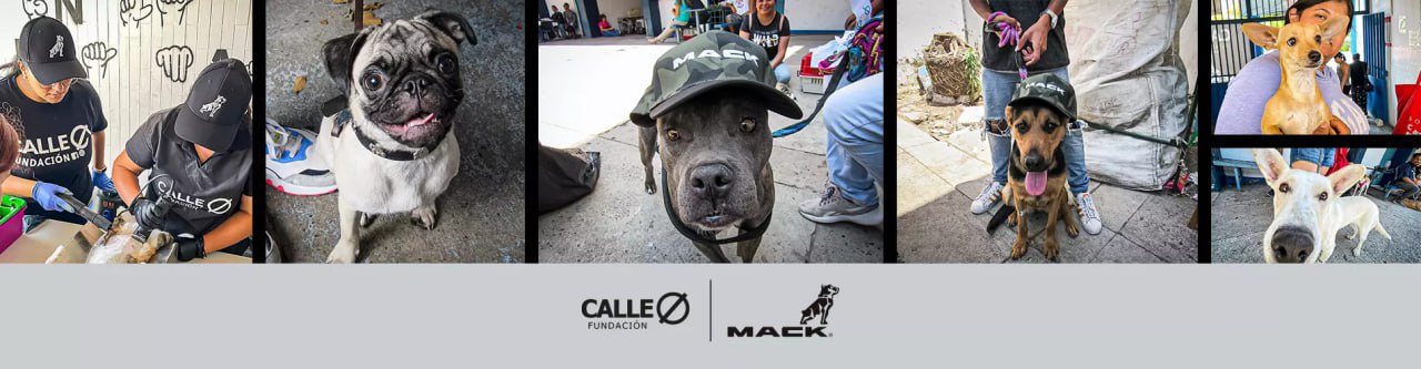 Campaña esterilización: dejamos huella